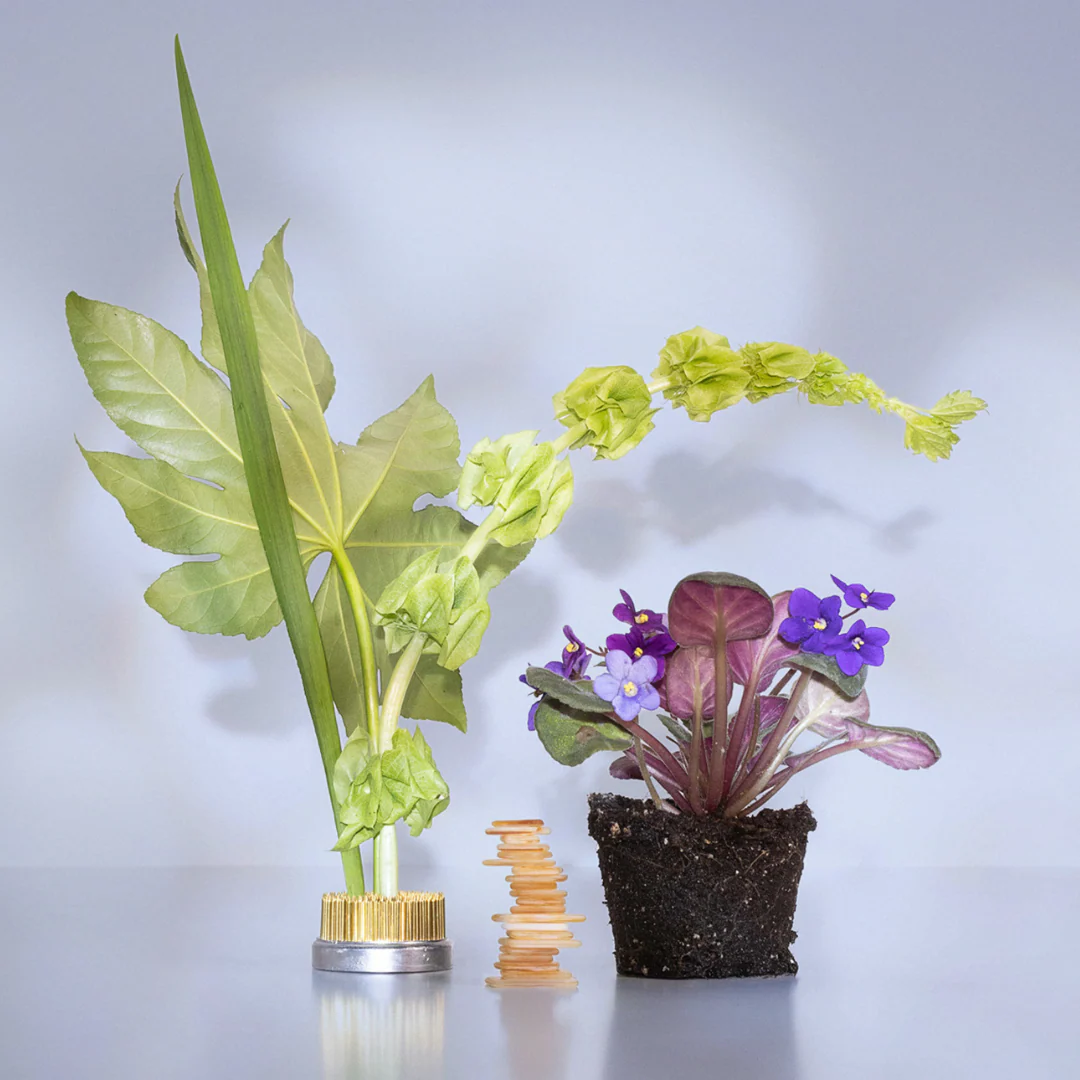 Magnolia Violet Body Mist - Image 3